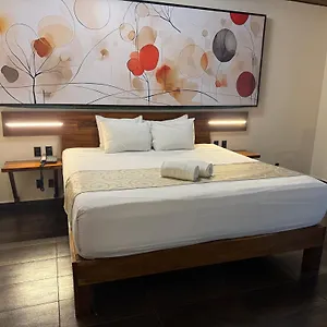 Kavia 5th Avenida (adults Only) Отель Плая-дель-Кармен